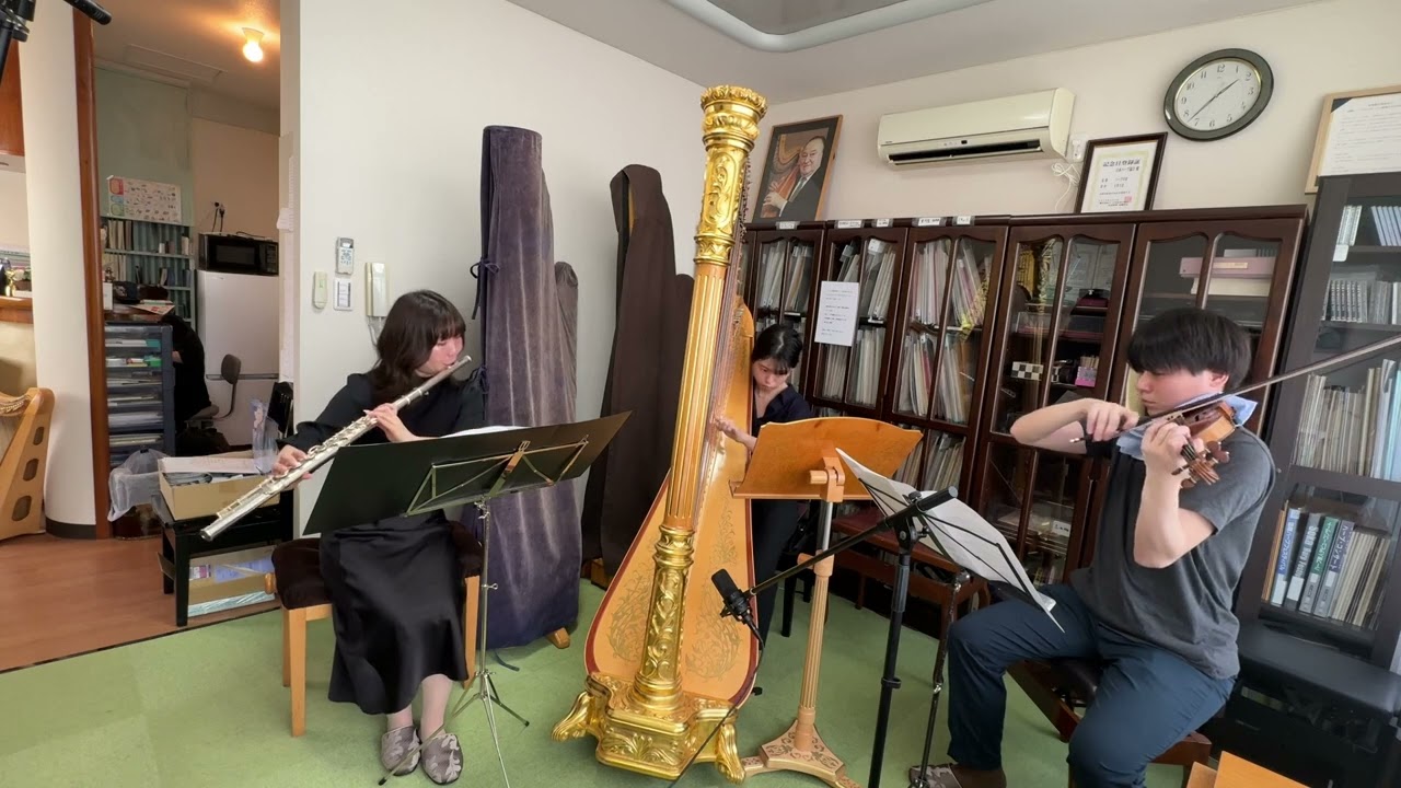 宮下亮明: “What-if function” アルトフルート、ハープ、ヴァイオリンのための