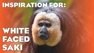 20 Real White-faced Saki Habitats! (Planet Zoo: Americas Animal Pack Inspiration)