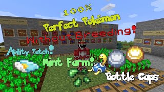 Pixelmon - How to Get 100 IV Perfect Pokémon without Breeding screenshot 2