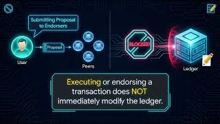 Full Hyperledger Fabric Explained: Architecture, Transactions, Consensus & Private Data Update