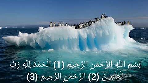 سورة الفاتحة لفضيلة الشيخ فارس عباد
