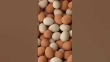 تفسير رؤيه البيض في المنام لابن سيرين 