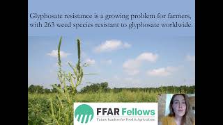 Combating Glyphosate Resistance