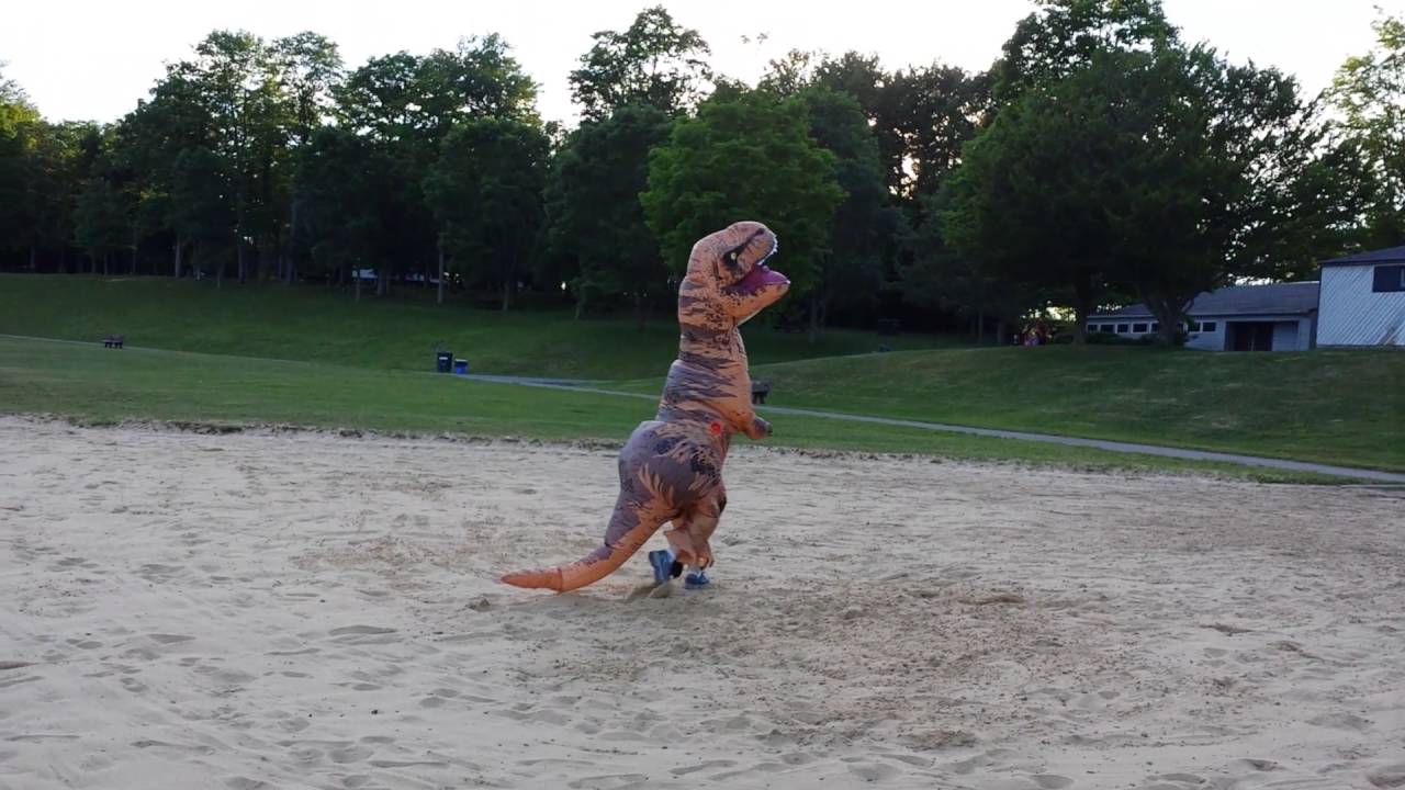 Beach Rex