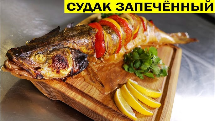 Судак какой на вкус: особенности вкусовых качеств судака