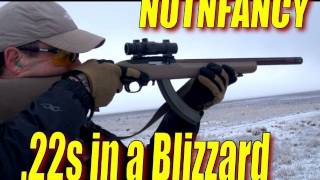 Tactical Solutions .22 Testing in Snow, Pt 4 by Nutnfancy
