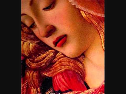 სანდრო ბოტიჩელი /“კატოს საღამოები“/რადიო იმედი, Radio Imedi