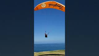 Paraglider Landing at Torrey Pines Gliderport ~ San Diego CA