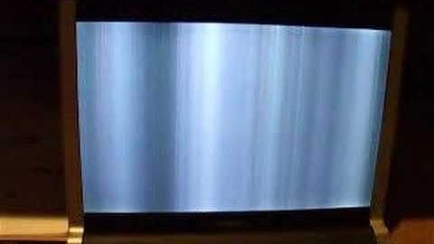 Issue the Dell XPS M1330