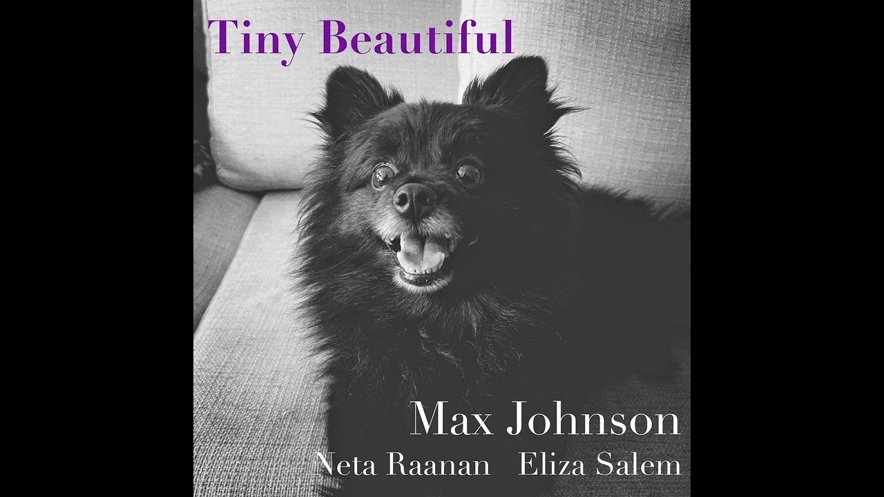 Смотреть «Max Johnson - Tiny Beautiful» на YouTube Смотреть «Max Johnson - Tiny Beautiful» на YouTube