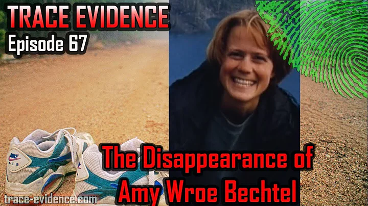 Trace Evidence - 067 - The Disappearance of Amy Wr...