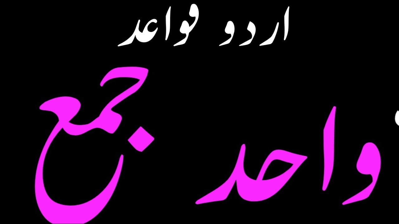 Urdu  Essay Wahid and Jama ke Alfaz || Wahid and Jama || Urdu garmmer