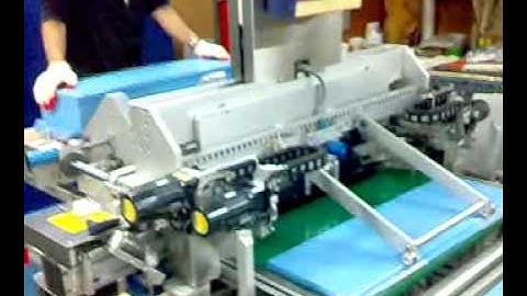 Edge Protection KS 1000.mp4