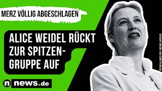 INSA-Ranking: Alice Weidel rückt zur Spitzengruppe auf - Kanzler Merz völlig abgeschlagen