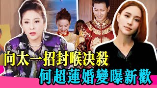 向太撕何超莲婚变!富家女下嫁「婚姻难维持」!顶级豪门过招!!!! #奇妙之城 #何超莲 #何鸿燊 #薛凯琪 #肖战 #成毅 #炸裂 #陶喆 #汪小菲 #综艺 #小s #娱乐 #八卦  #阿娇