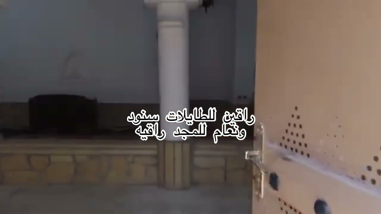 شيلة نعام دار الشقردية| كلمات محمد الحمد| اداء صقر نجد وخالد الحمد