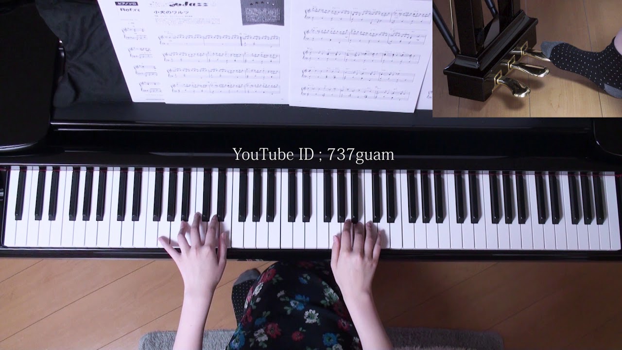 子犬のワルツ ピアノ （プチJazz） 月刊ピアノ YouTube