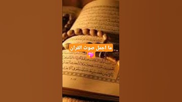 سوره المسد كامله بصوت القارئ ناصر القطامي