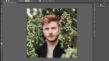 Manatee Commune - Low Poly / Vector Time lapse