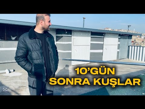 GÜNLER SONRA KUŞLARA İLK VİDEO  ÇEKTİM!