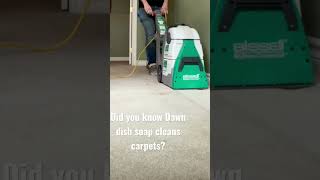 Dawn dish soap works great to clean grease and stains from carpet.
