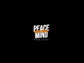 Youngfella x nofuture   min hnawl ve e  peace of mind project official mv