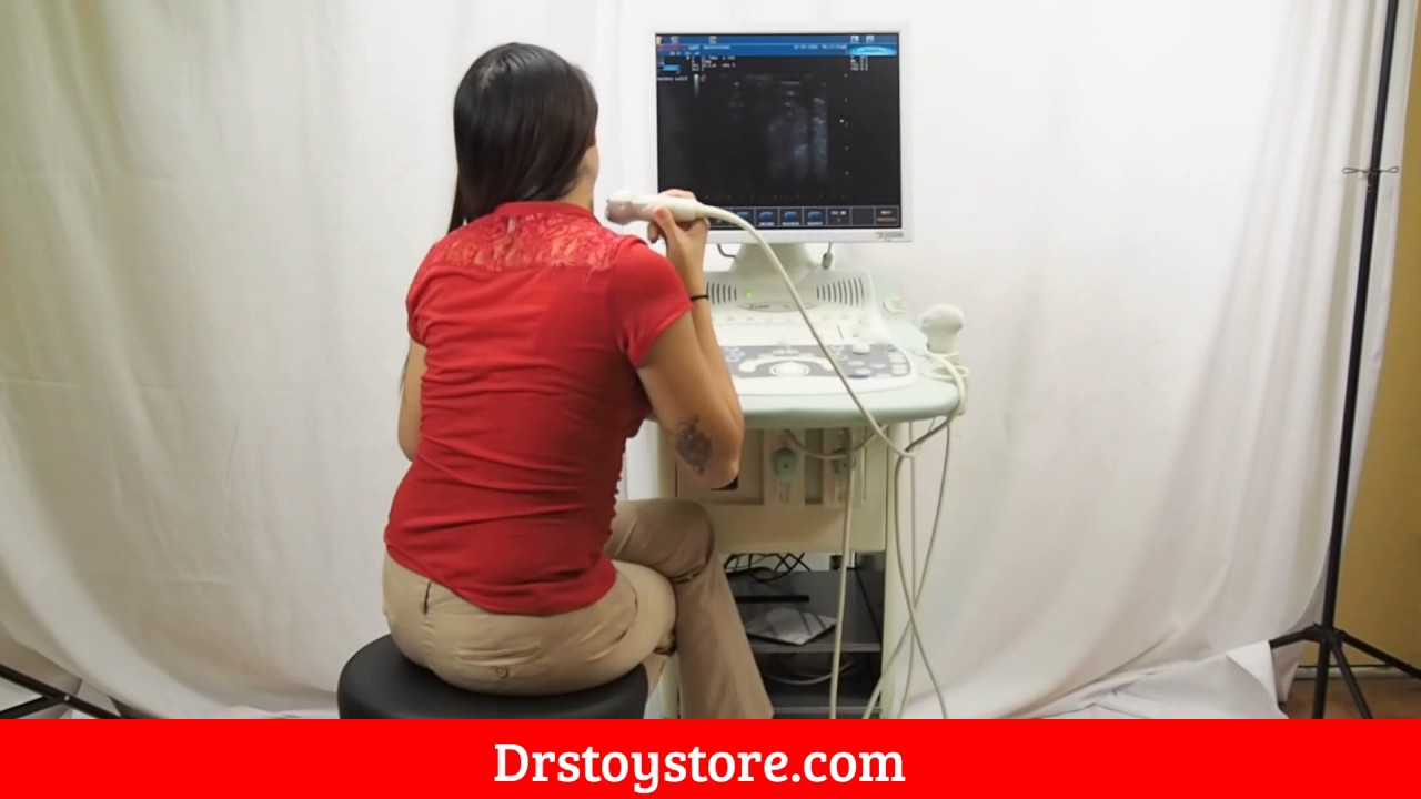Esaote MyLab 15 Ultrasound Machine Medical Equipment for Sale | Dr's Toy Store