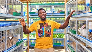 How To Start Rabbit Farming As A Beginner | His Rabbit Farming Journey