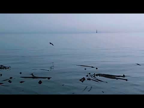 ธรรมชาติสวยงาม#nature - แคนาดา vlog