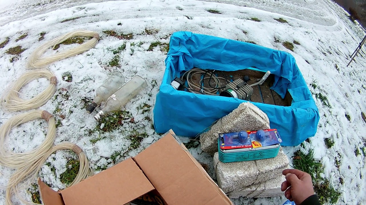 staw napowietrzanie przyducha zapobieganie . ryby jak pomóc przetrwać zimę