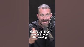 Neuroscientist : why is it easier to build habit in the morning