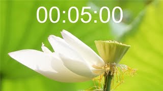 5 minute countdown screenshot 5