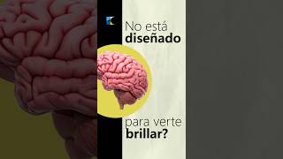 Cambiar de mentalidad no es natural. Pero es lo más poderoso que puedes hacer