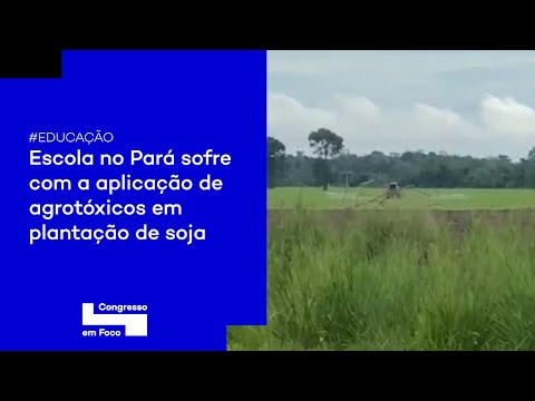 Escola no Pará sofre com a aplicação de agrotóxicos em plantação de soja