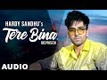 Tere Bina Reprise (Full Audio) | Harrdy Sandhu | Latest Punjabi Songs 2020 | Speed Records