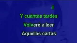 Laura Pausini - Amores Extraños (Instrumental Karaoke)