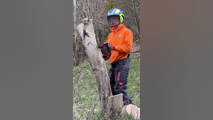 Abbattimento pianta