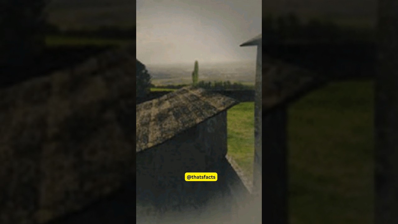 Did You Know This About The First Camera Picture? | Daily Fact 93 