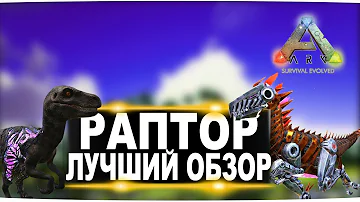 Раптор, Тек и альфа рапторы (Raptor) в АРК. Лучший обзор: приручение, разведение и способности в ark
