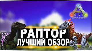 Раптор, Тек и альфа рапторы (Raptor) в АРК. Лучший обзор: приручение, разведение и способности в ark