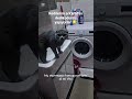 #cat #home #fyp #keşfetbeniöneçıkar #keşfet #shortvideo