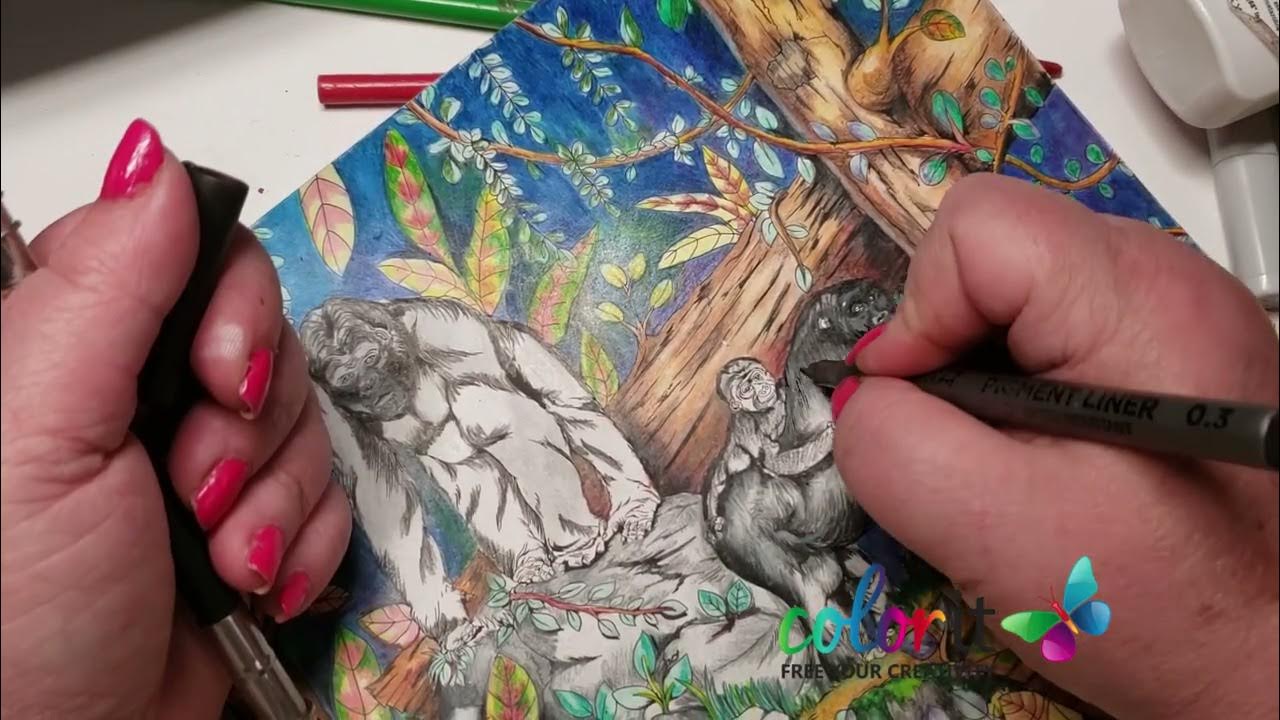 Colors Of The Jungle, Demo And Giveaway YouTube