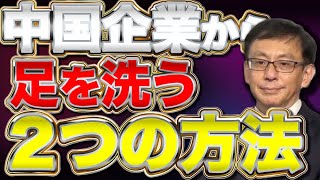 【日本企業奪還！】中国企業から脱却する唯一の方法を解説！ 平井宏治× saya【経済安保show】