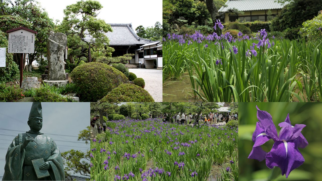 三河八橋の伊勢物語旧跡案内 9段の東下りの地を地元大学教授が紹介 三河八橋の伊勢物語旧跡案内 9段の東下りの地を地元大学教授が紹介
