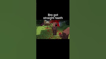 Minecraft Meme