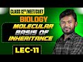 Molecular Basis of Inheritance || Le. - 11 || Biology Class 12th NEET 2025- 26 || By Vikas sir