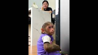 Little Monkey Lalas Meltdown A Hilarious Kids Tantrum