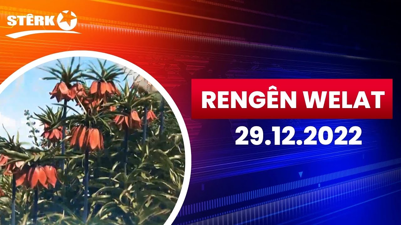 Rengên Welat Samborek - 05.01.2023