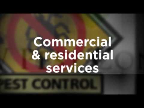 Pest Control Services