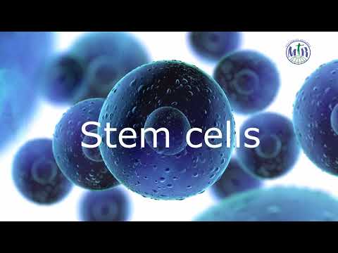 Build up your own stem cells